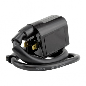 BOBINE ALLUMAGE EXT POL KIMPEXHD