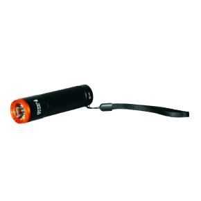 Action Lampe de poche 1W