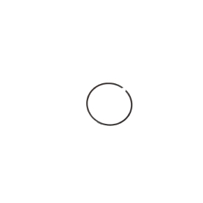 Wiseco Segment de piston