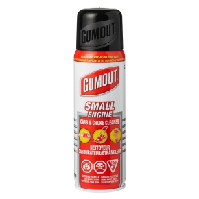 Gumout Nettoyant de carburateur et étrangleur pour petit moteur