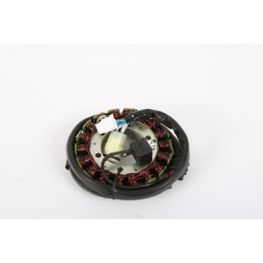 Electrosport Stator d'haute puissance + 25% avec régulateur/redresseur