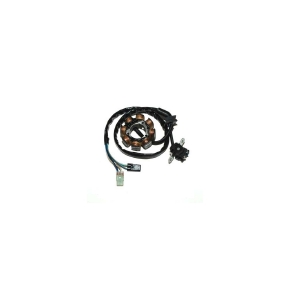 Electrosport Stator