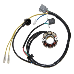 Electrosport Stator