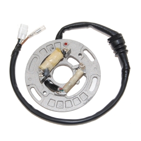 Electrosport Produit Magnétos