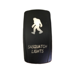 QuakeLed Interrupteur Sasquatch DEL