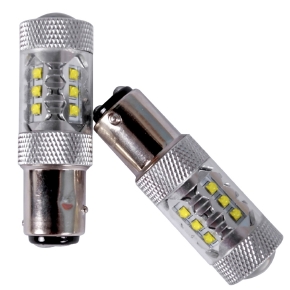 QuakeLed Ampoules 80 watts